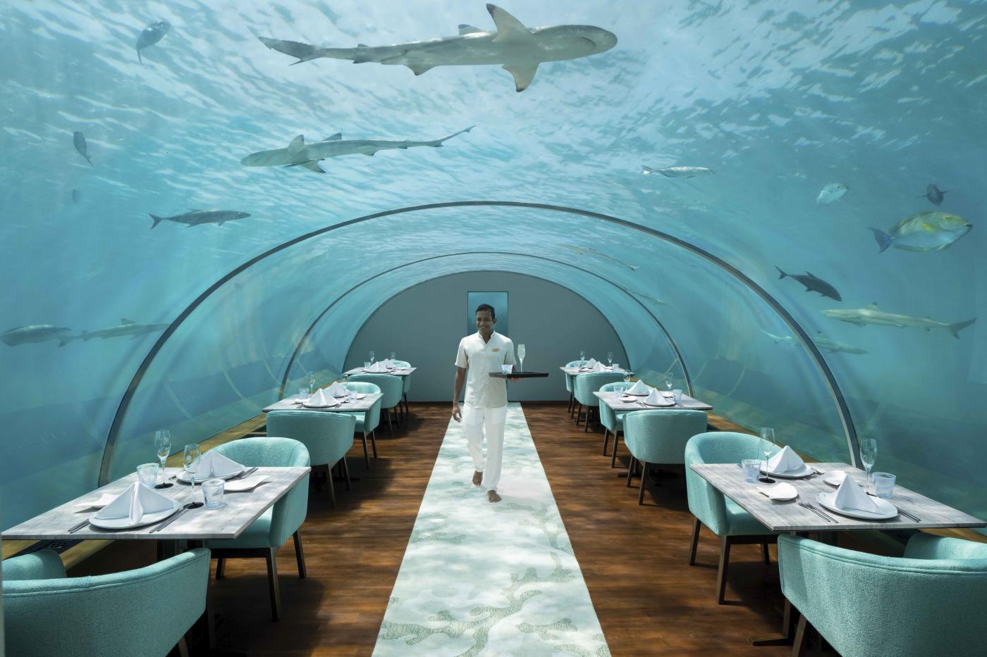 Den berømte undervands-restaurant Ithaa Undersea Restaurant på Conrad Maldives Rangali Island, Maldiverne