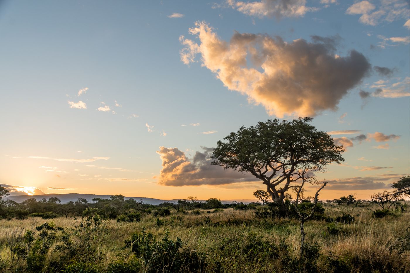 Landskab i Sydafrika
