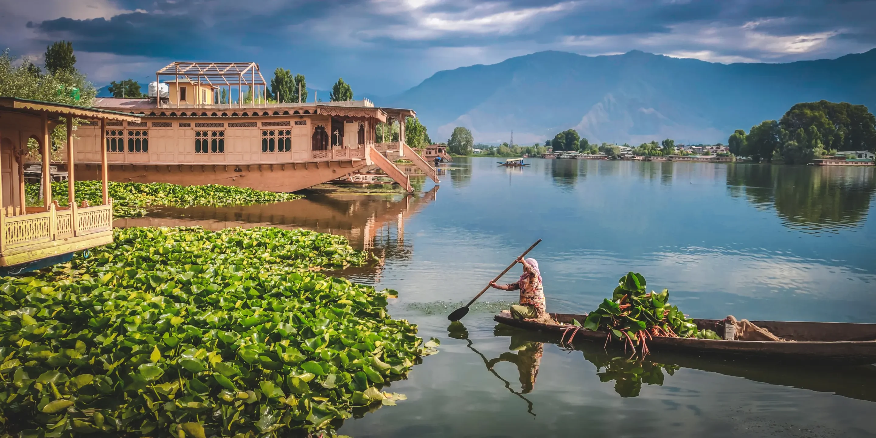Husbåde i Srinagar, Kashmir i Indien