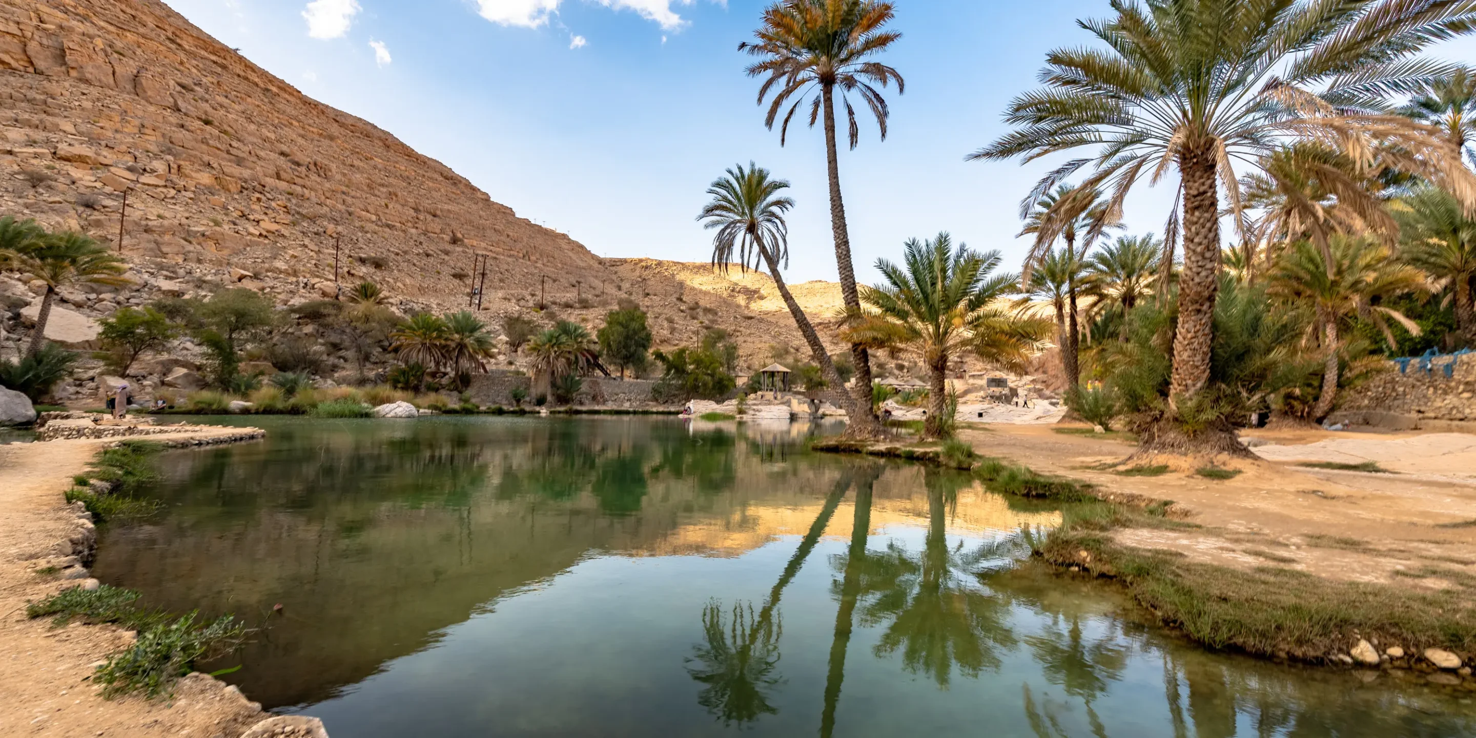 Smuk oase i Oman