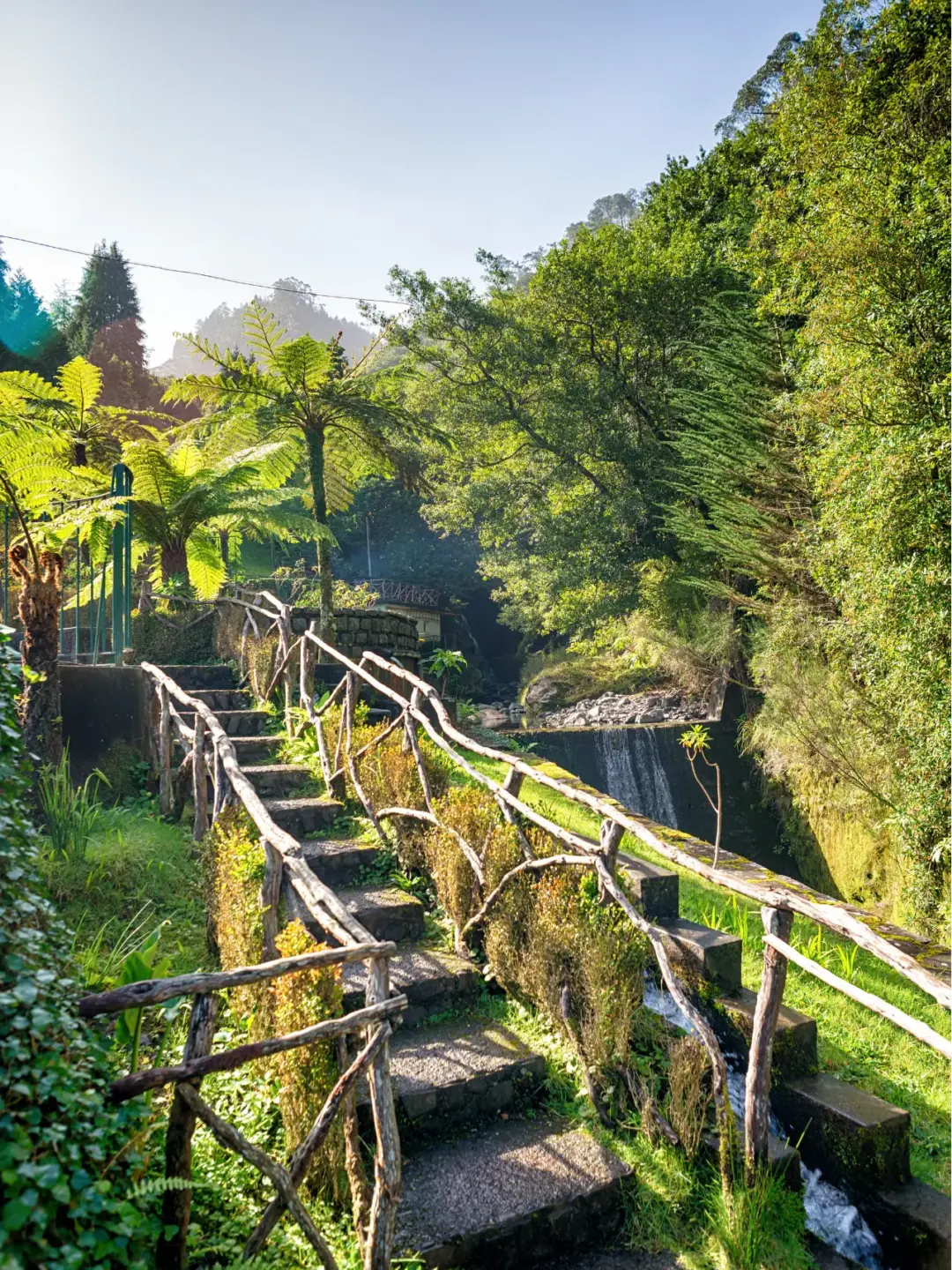 Levada, vandresti, på Madeira, Portugal