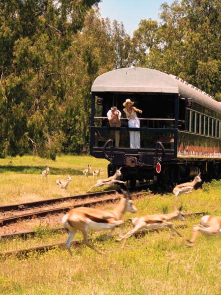 Togrejser - en rejsetype Peacock Travel tilbyder flere steder i verden.