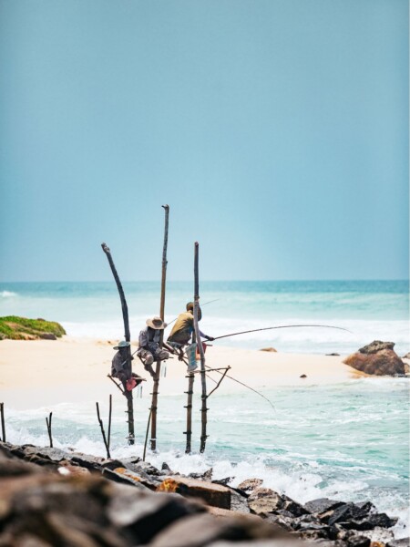 Pælefiskere nær Koggala, Sri Lanka