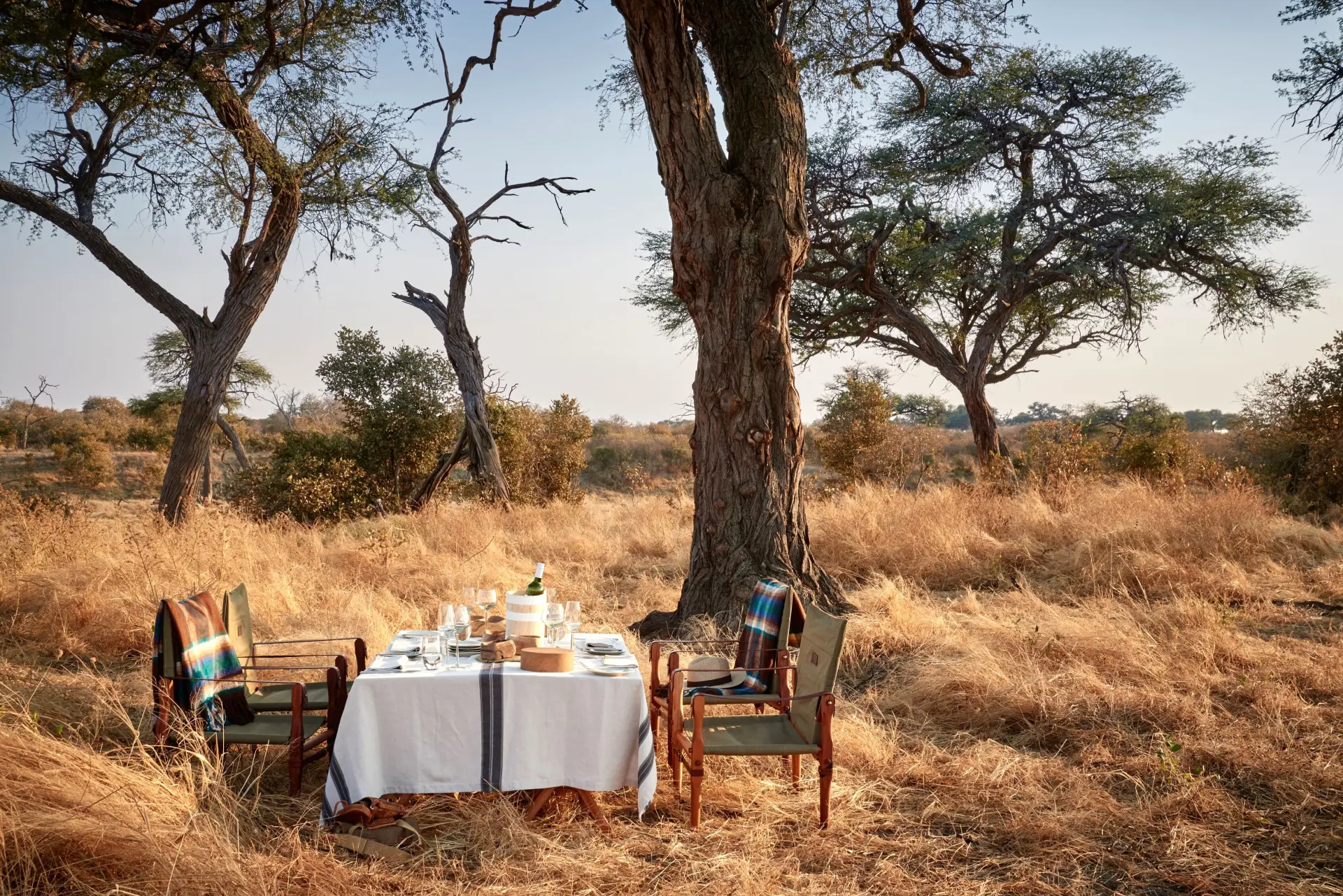 Bush middag med Savute Elephant Lodge, A Belmond Safari i Botswana, Afrika