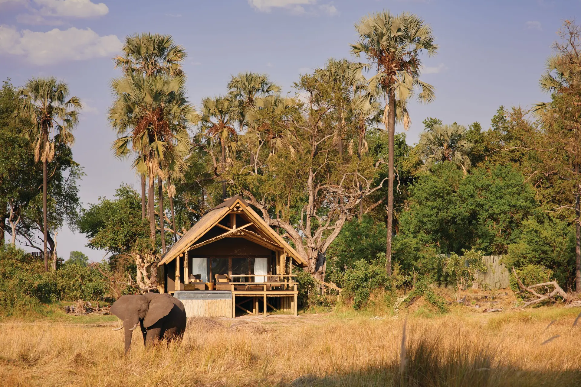 Lodge på Savute Elephant Lodge, A Belmond Safari i Botswana, Afrika