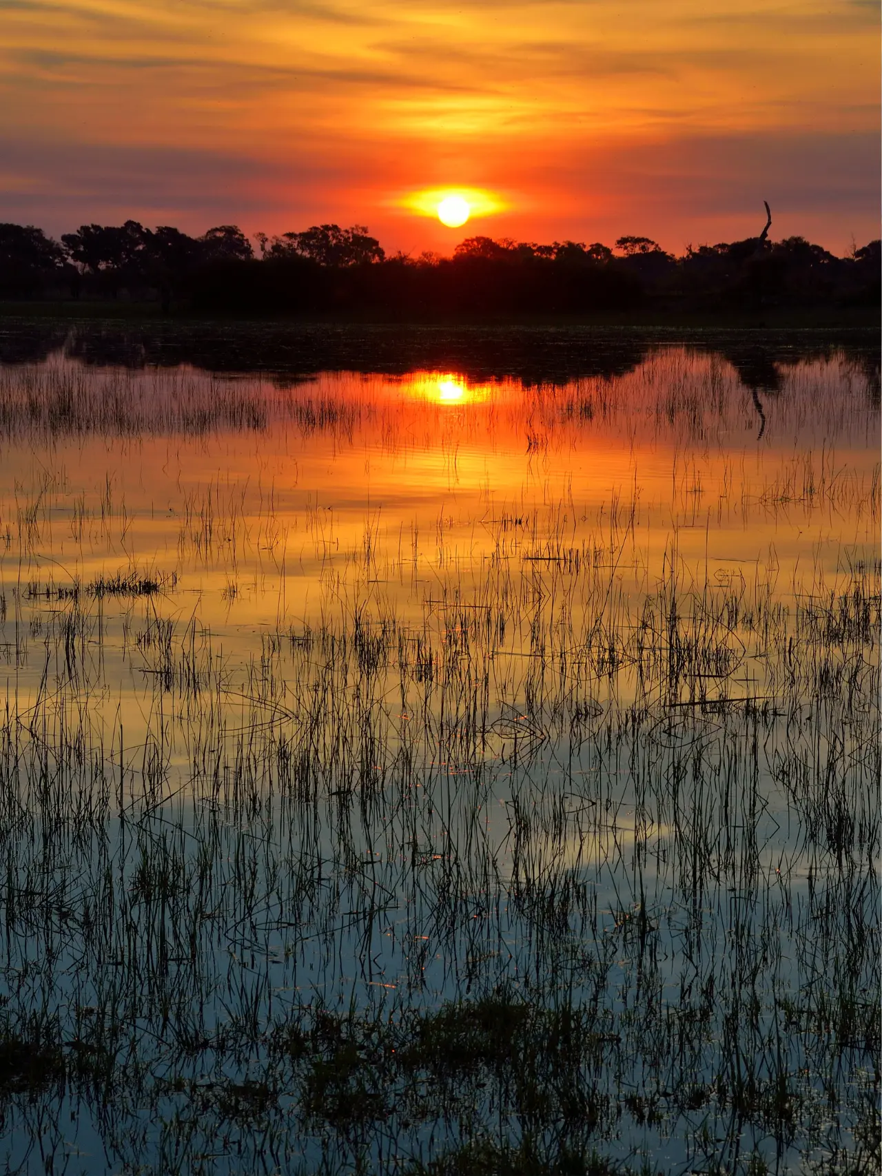 Solnedgang over Okavango-deltaet i Botswana, Afrika