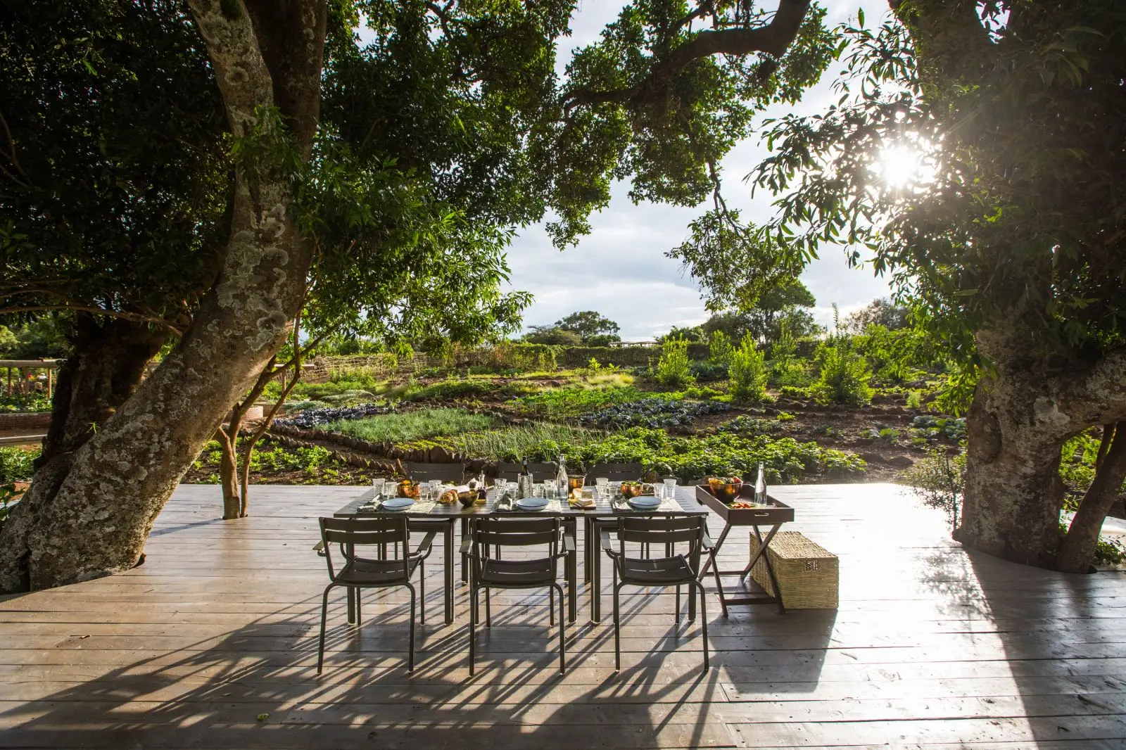 Middag i køkkenhaven på Angama Mara, Kenya, Afrika