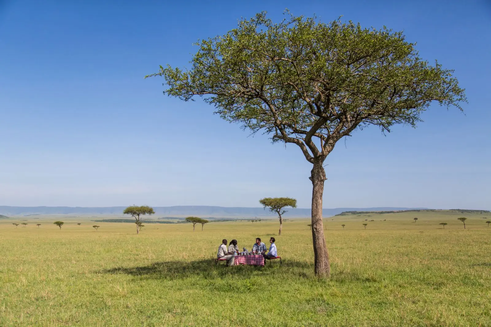 Pause under safari med Angama Mara, Kenya, Afrika