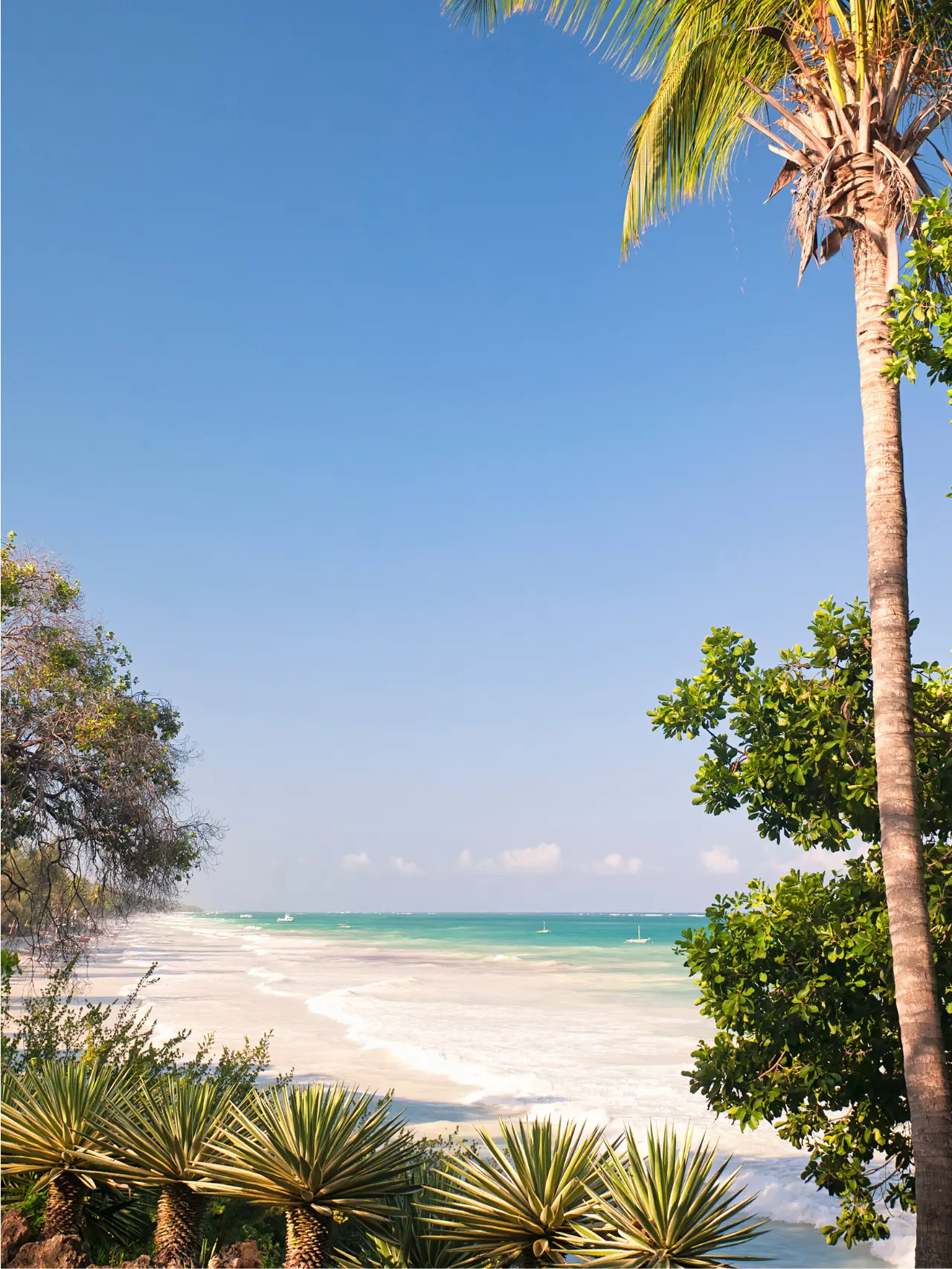 Diani Beach i Kenya, Afrika