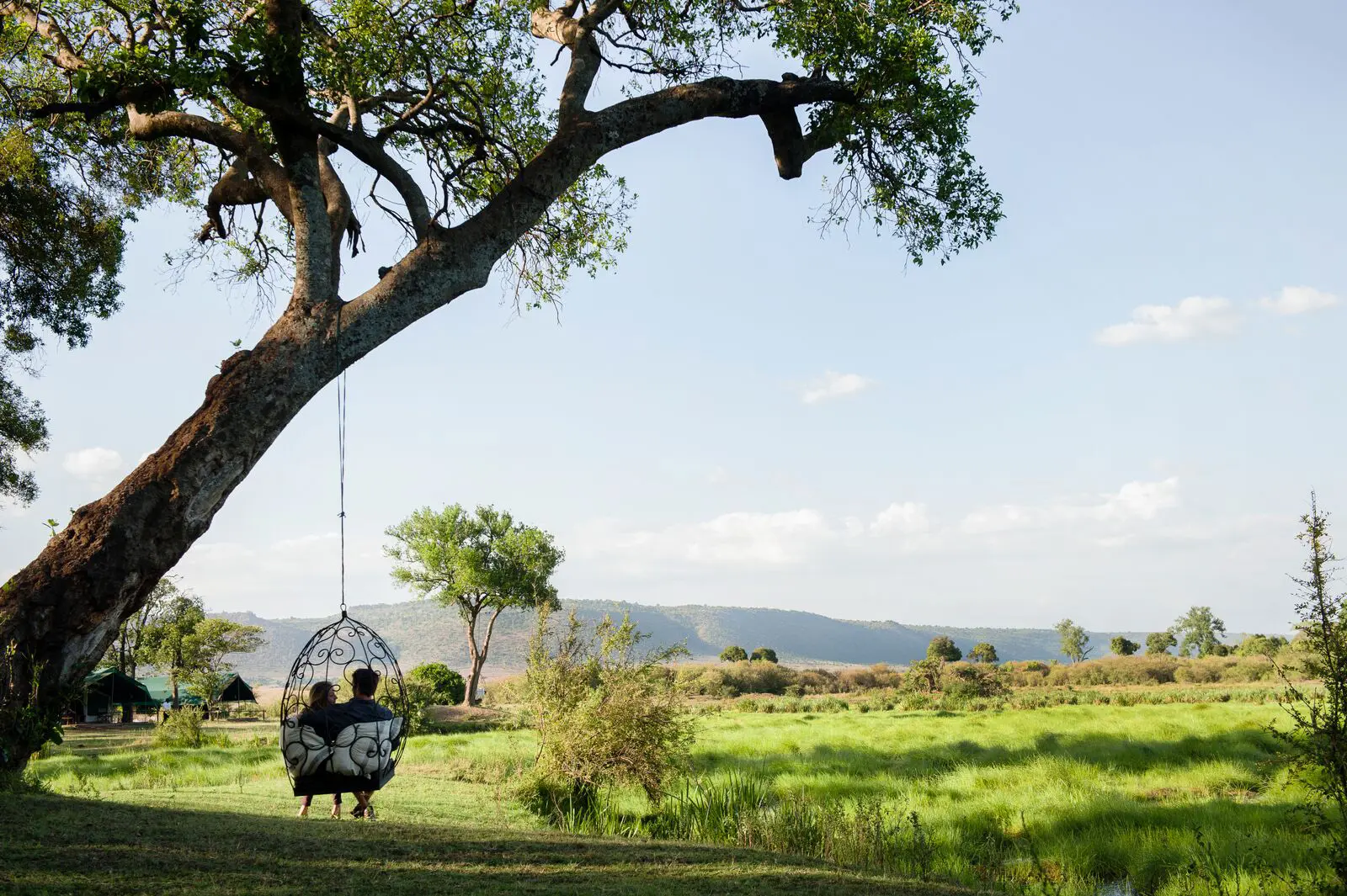 Tosomhed med udsigt på Little Governors' Camp, Kenya, Afrika