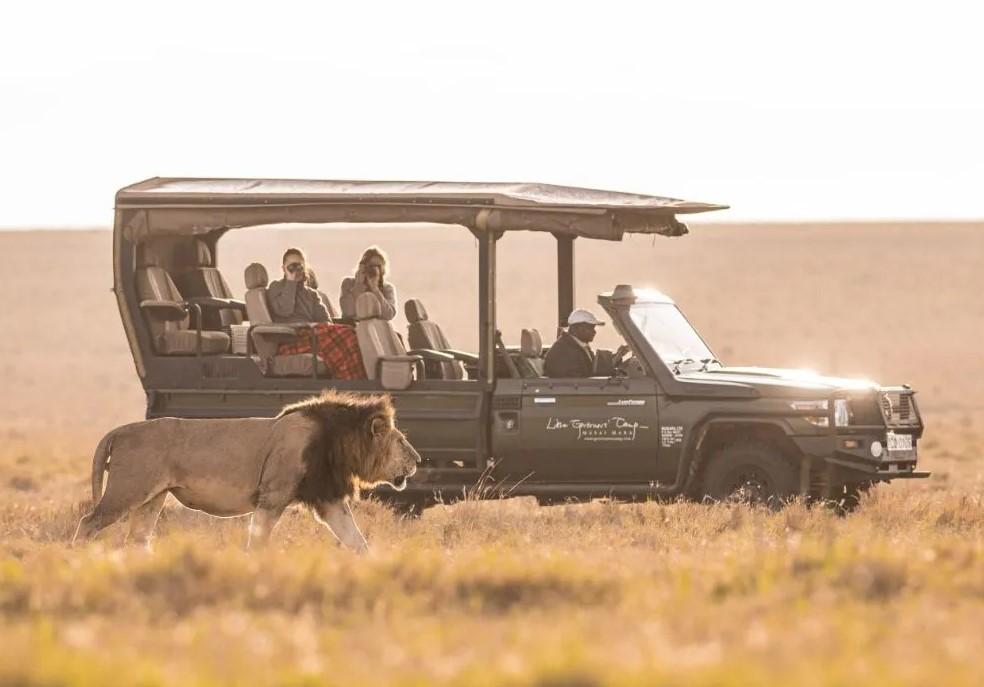 På safari med Little Governors' Camp, Kenya, Afrika