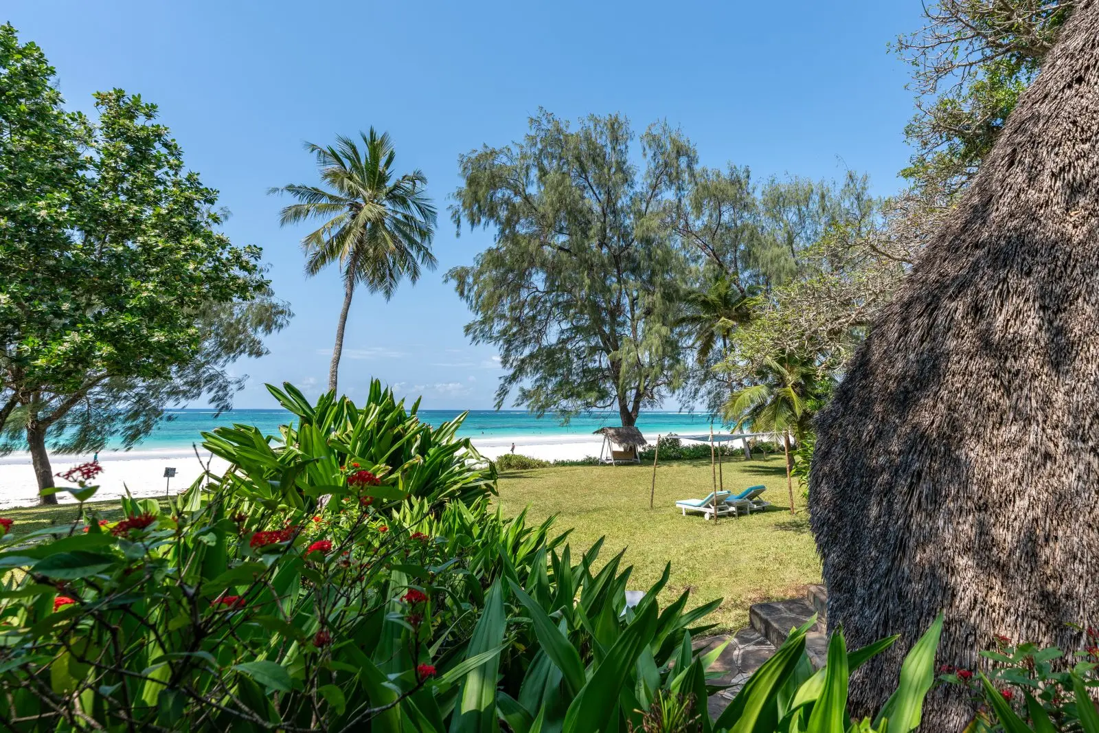 Beach Cottage på Nomad Beach Resort, Diani Beach i Kenya, Afrika