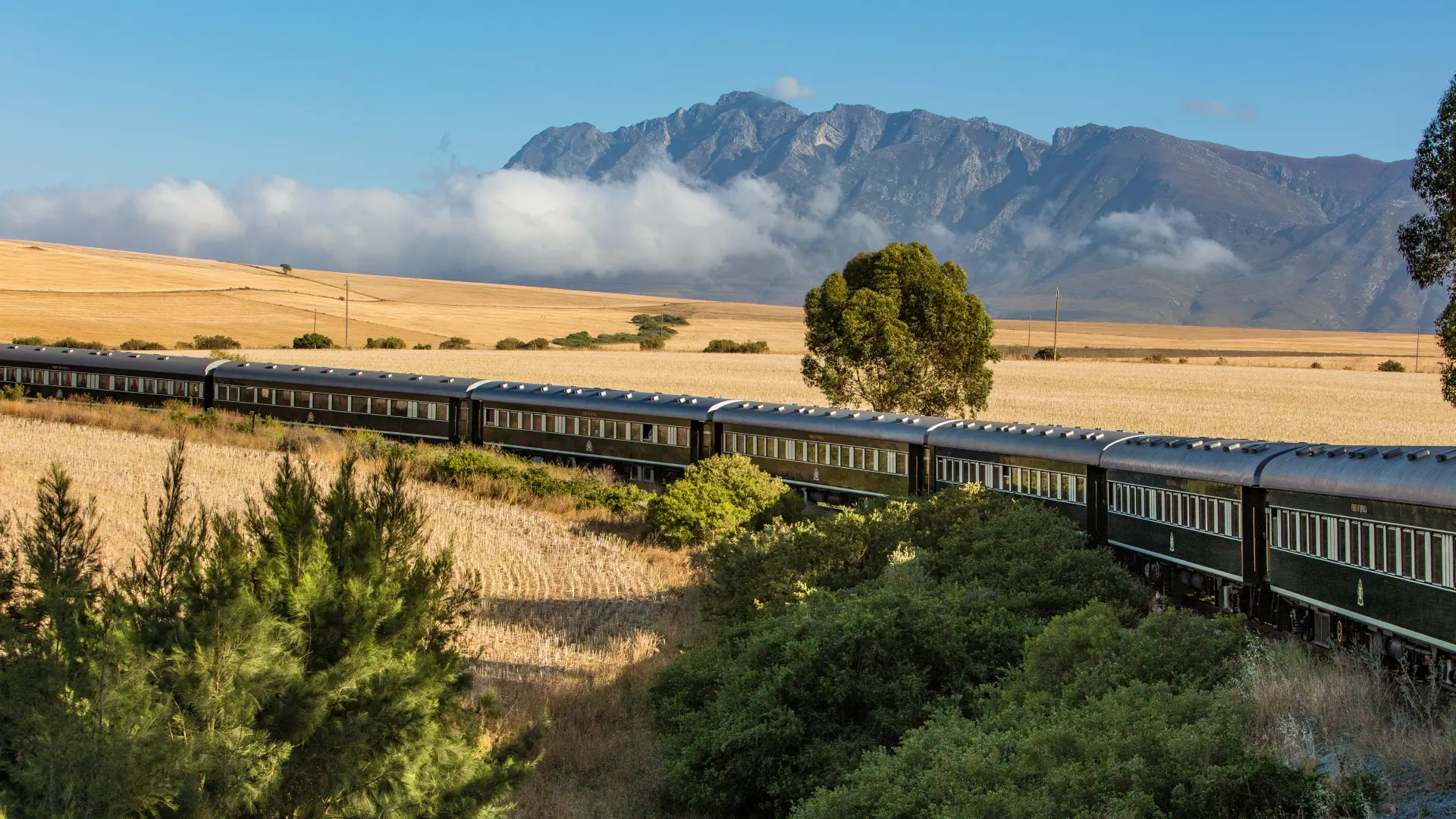 Toget Rovos Rail med Heidelberg Mountains i baggrunden, Afrika