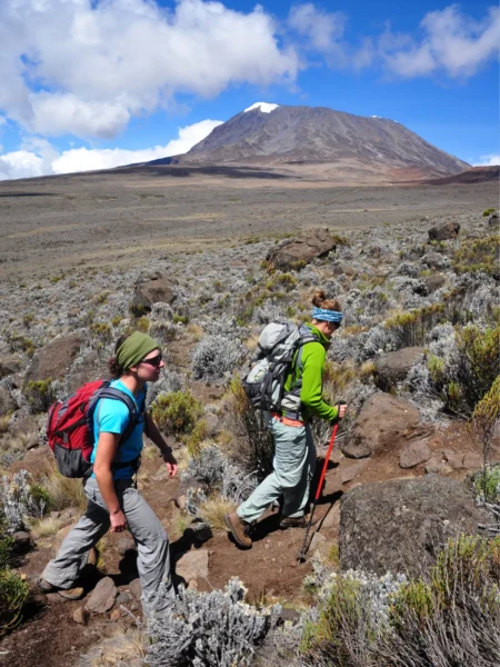 Vandring og hiking til og på Kilimanjaro i Tanzania