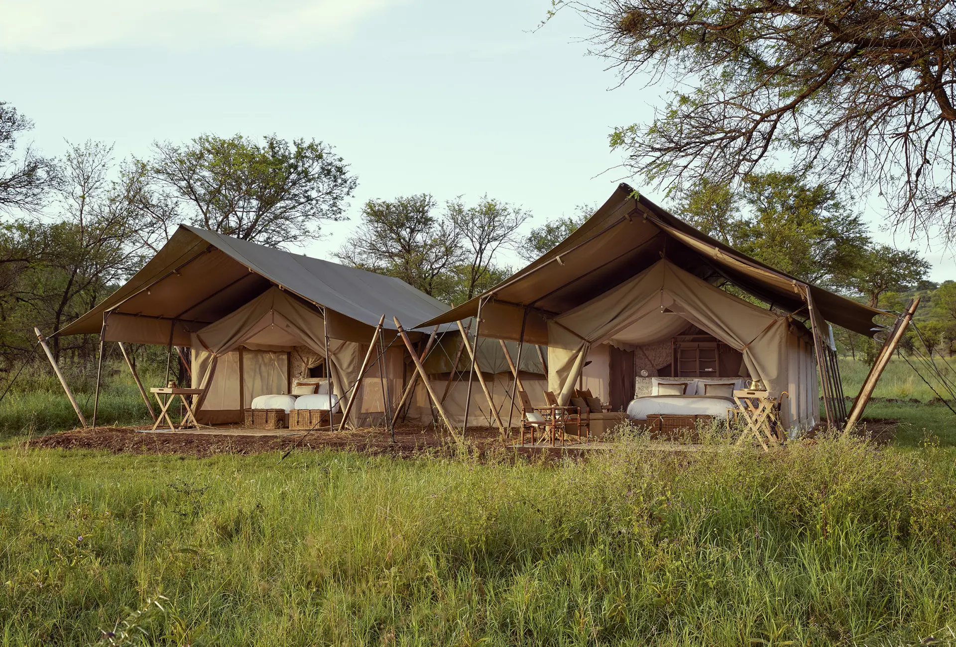 Familietelt på Laba Migration Camp i Tanzania, Afrika