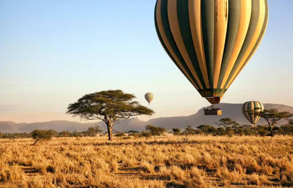 Oplev savannen fra en luftballon i Tanzania, Afrika