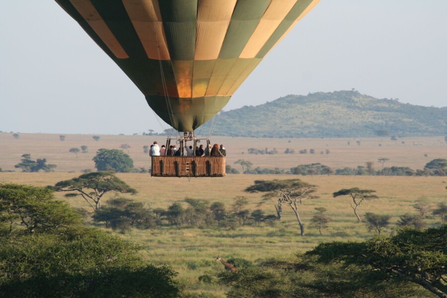 Oplev dyrelivet i Afrika fra en luftballon