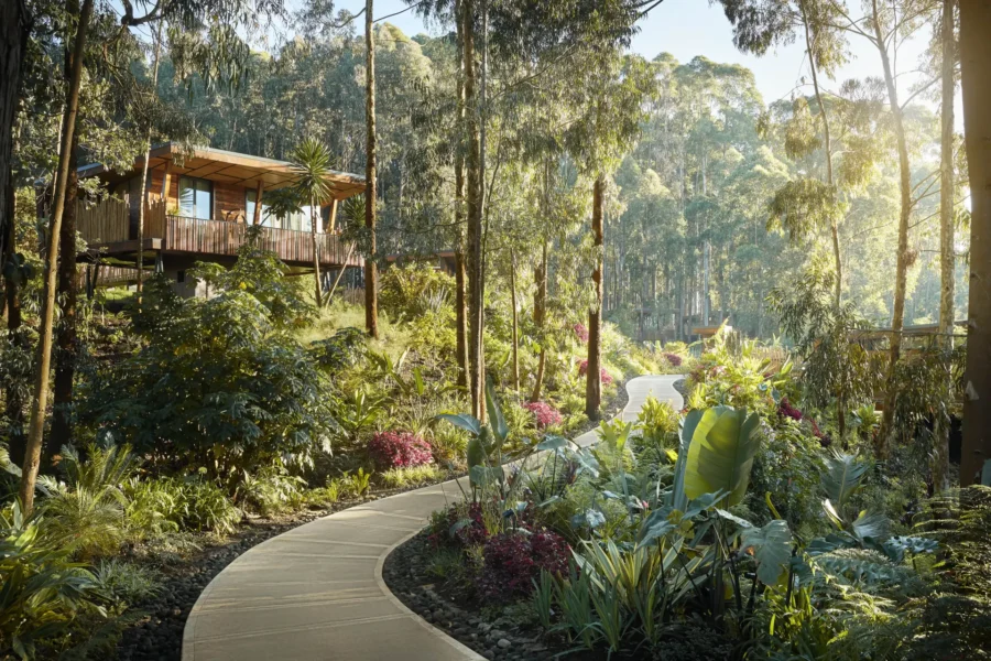 Suite på One&Only Gorillas Nest i Rwanda, Afrika