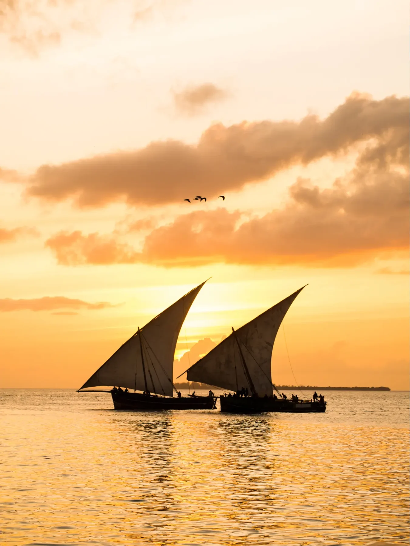 Dhow - den traditionelle sejlbåd ses også på Zanzibar
