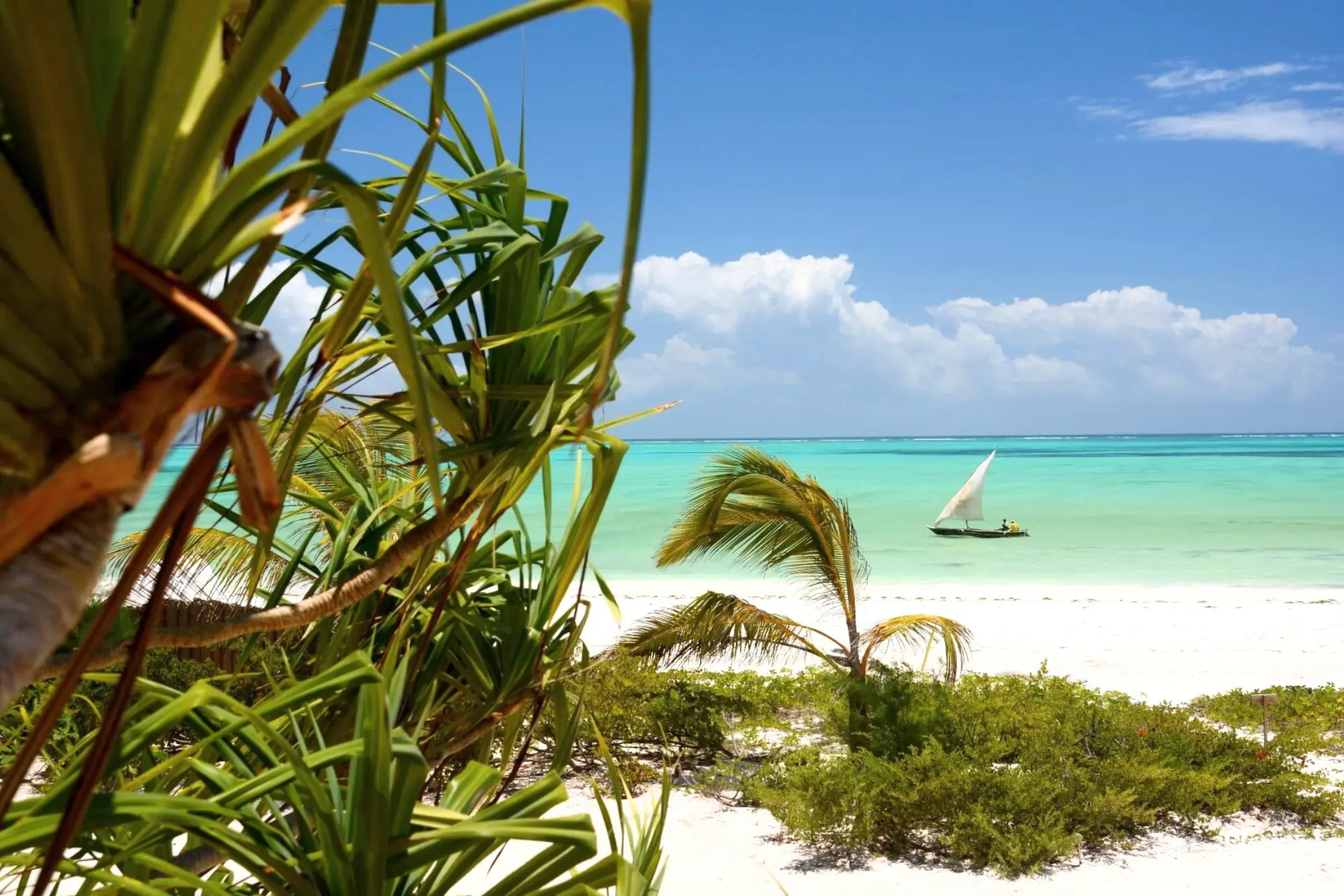 Stranden på White Sand Luxury Villas & Spa, Zanzibar