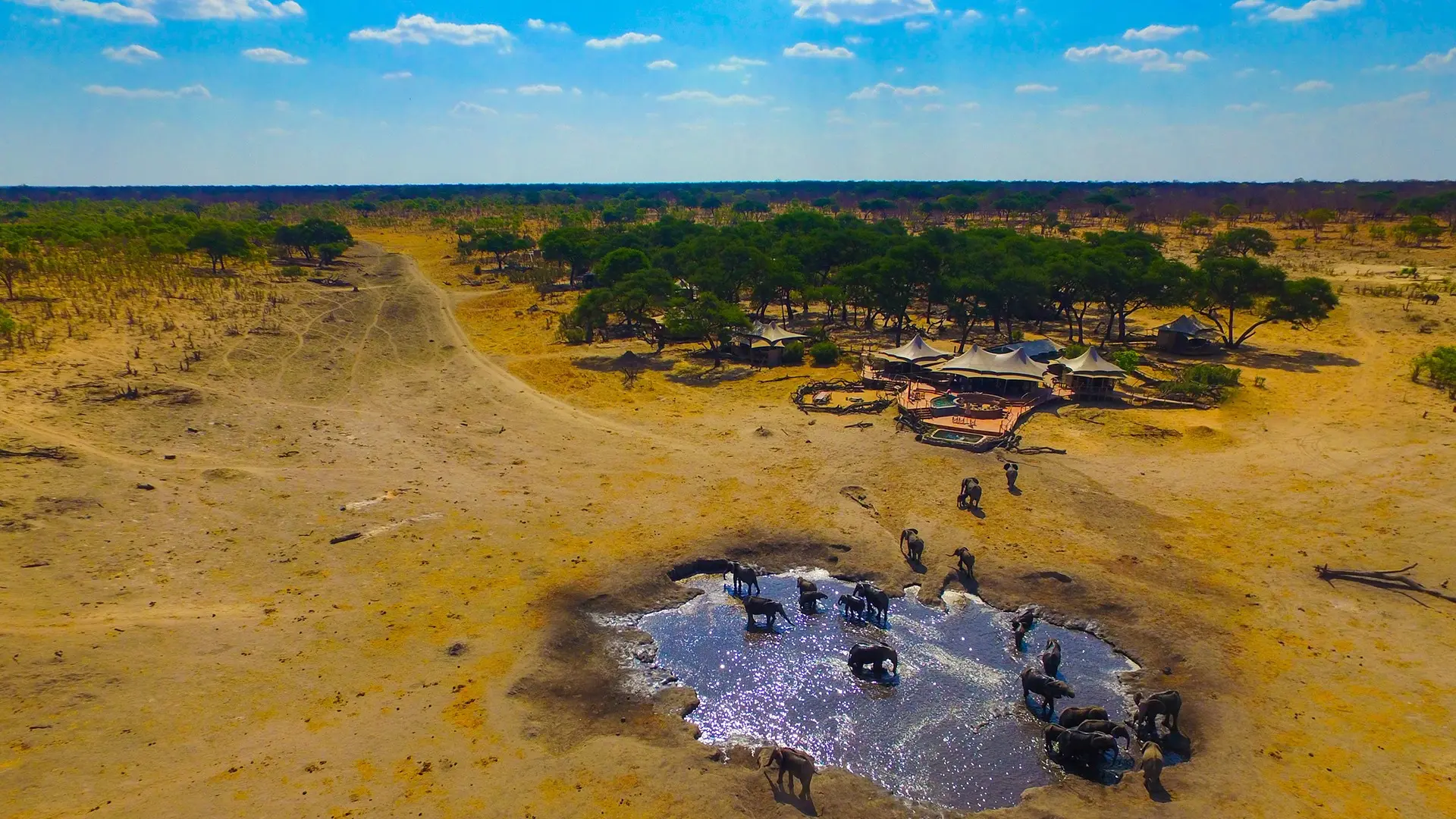 Vandhul med elefanter ved Somalisa Camp, Hwange National Park, Zimbabwe