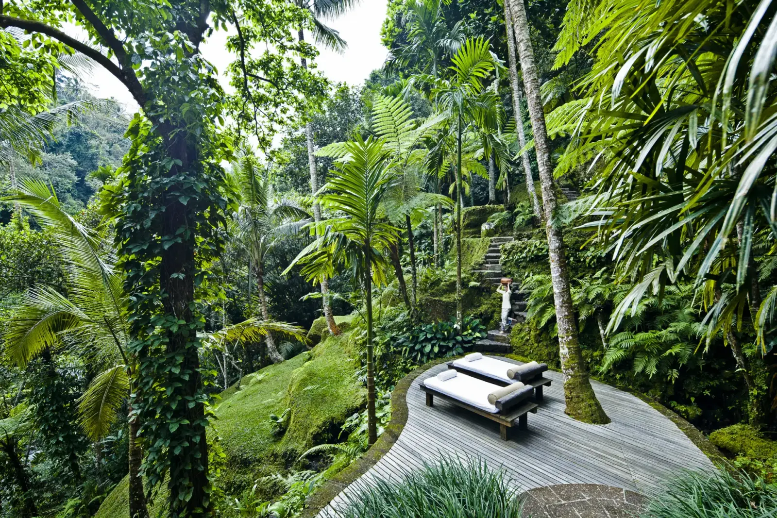 Jungle have på Como Shambala på Bali