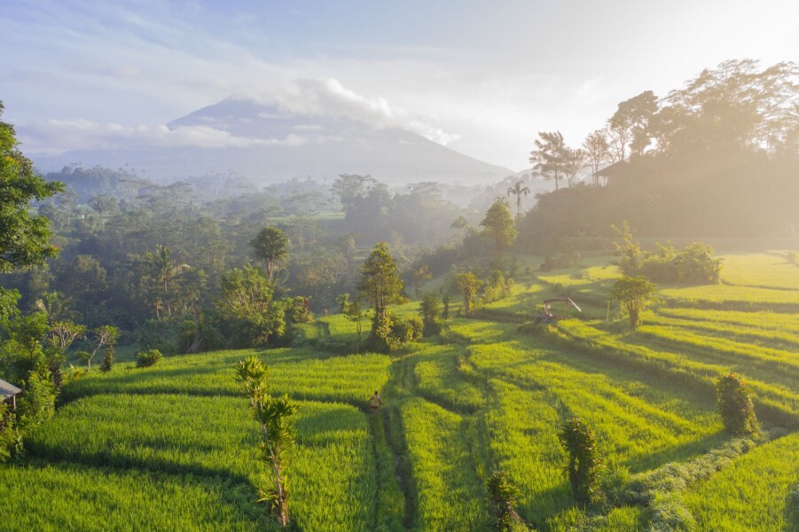 Risterrasser og Mount Agung på Bali