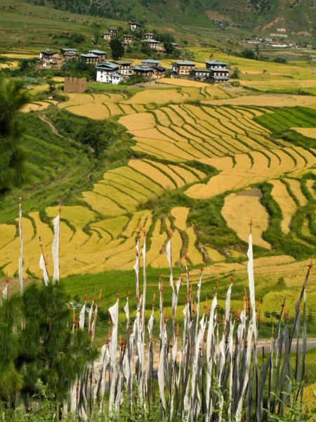 Bedeflag, rismarker og landsby i Bhutan