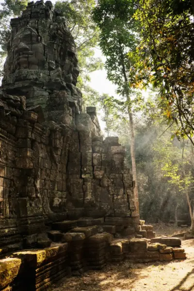 Morgengry ved Angkor Wat, Cambodia