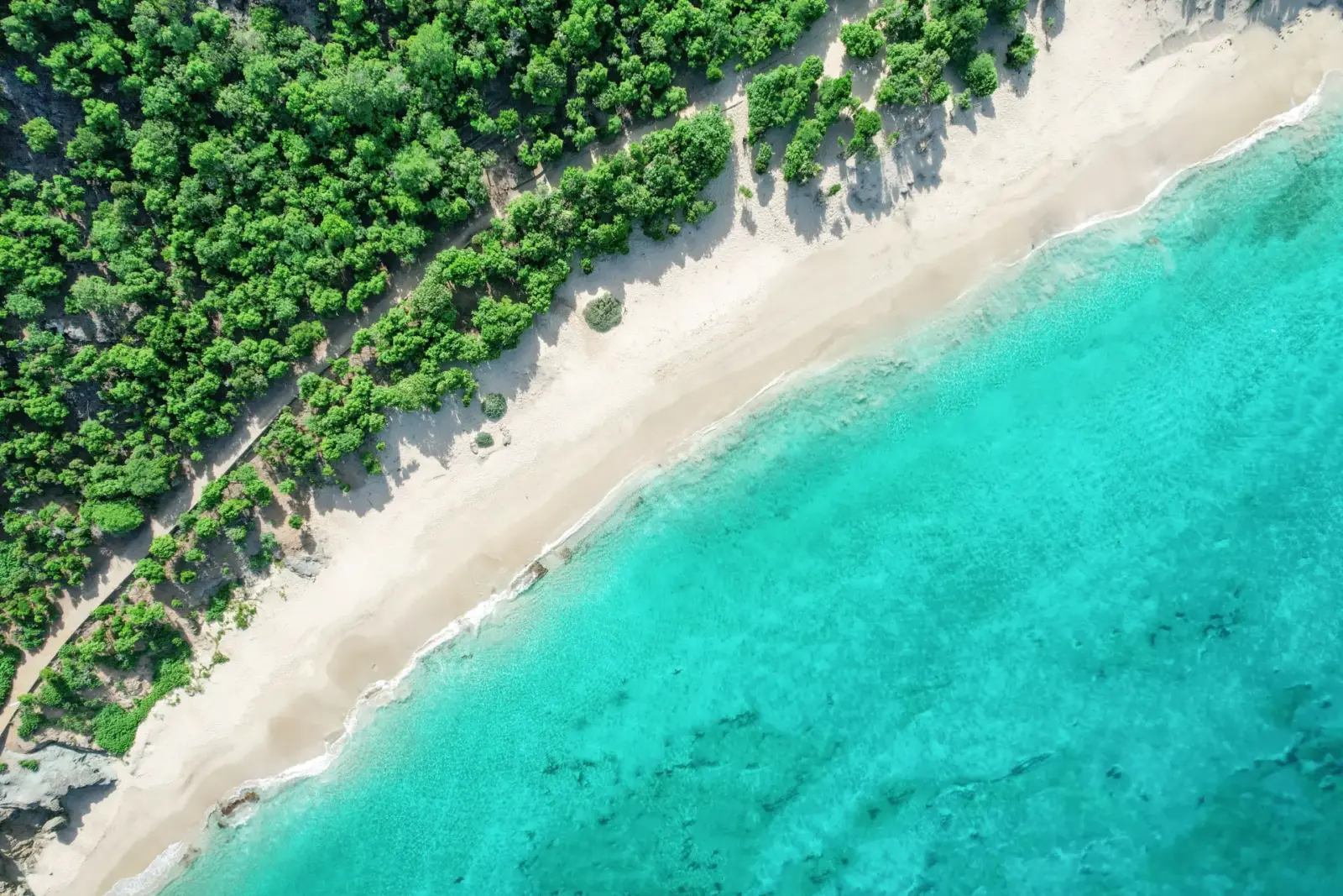 Stranden ved Cheval Blanc-St Barth, Caribien