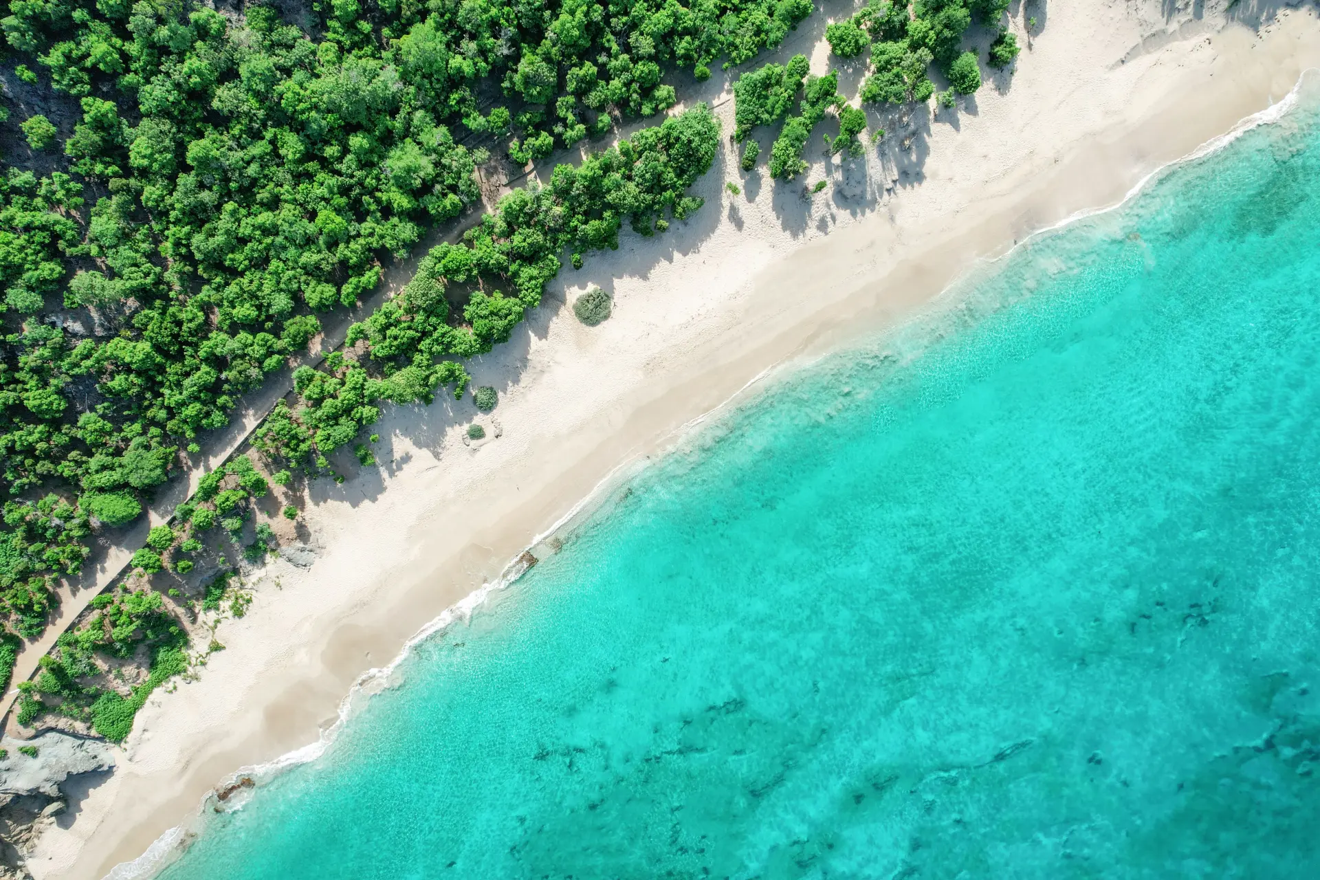 Stranden ved Cheval Blanc-St Barth, Caribien