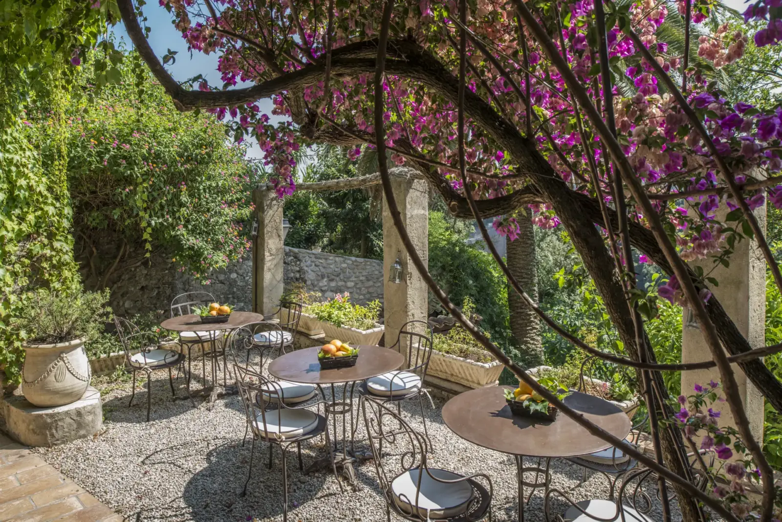Have på Chateau Le Cagnard, Frankrig