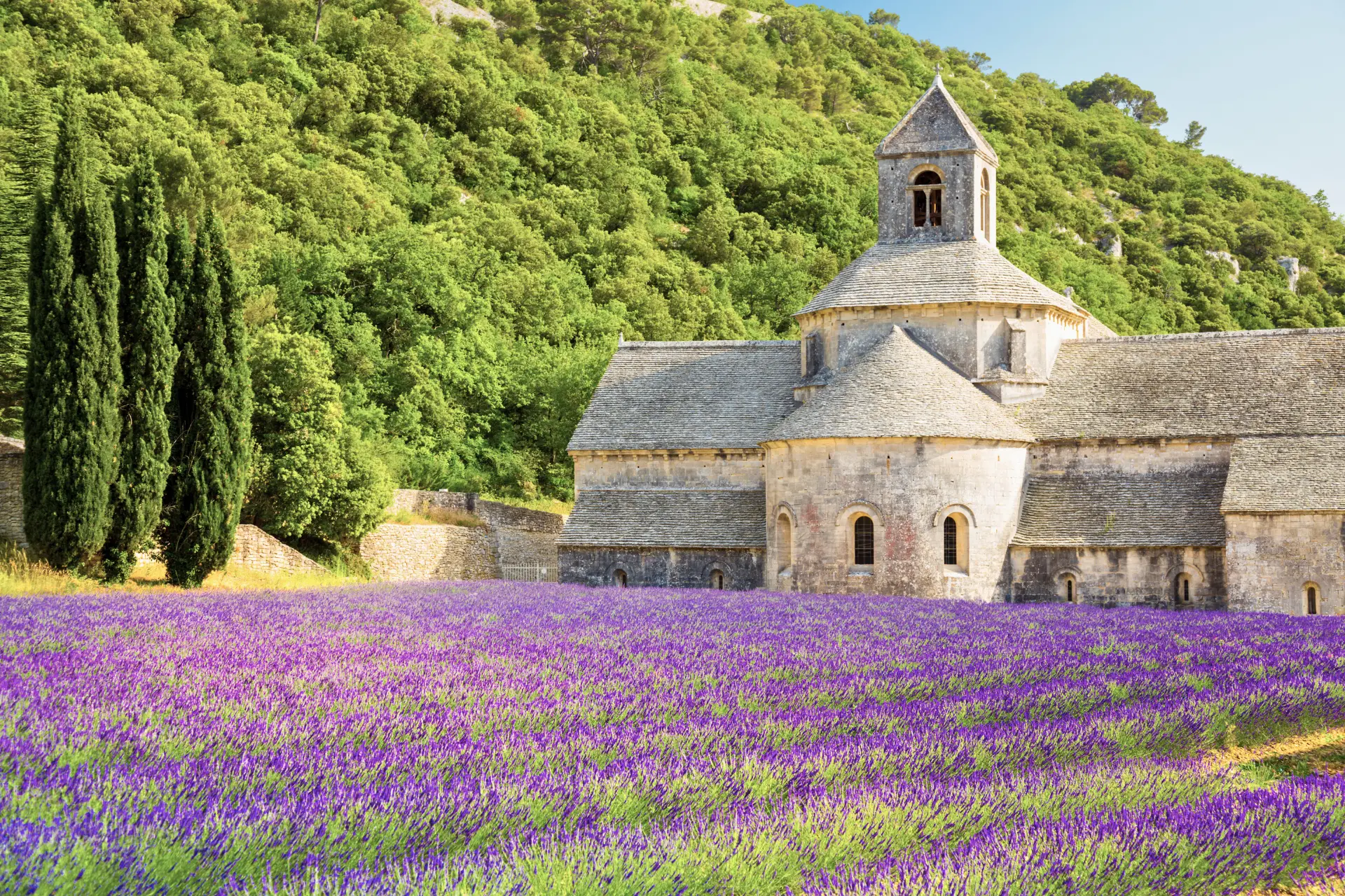 Senanque klostret i Provence, Frankrig