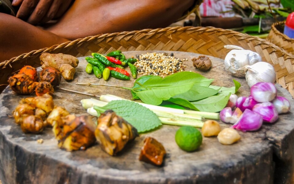 Ingredienser til madlavning på Bali