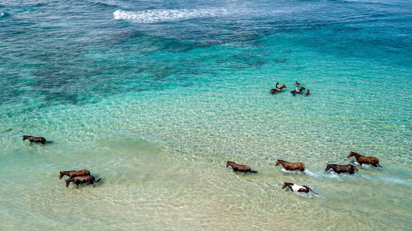 Rid på heste under ferien på NIHI Sumba, Indonesien