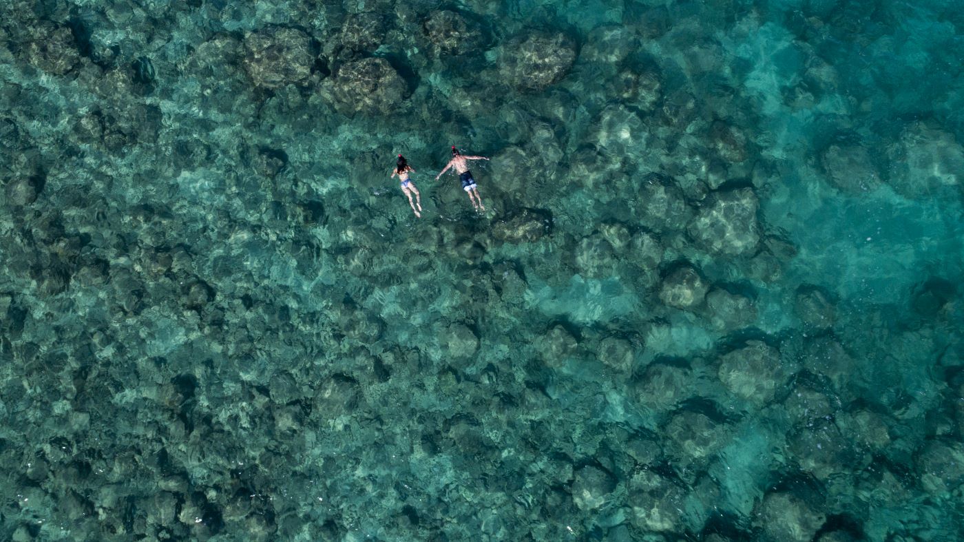 Snorkling ved NIHI Sumba, Indonesien