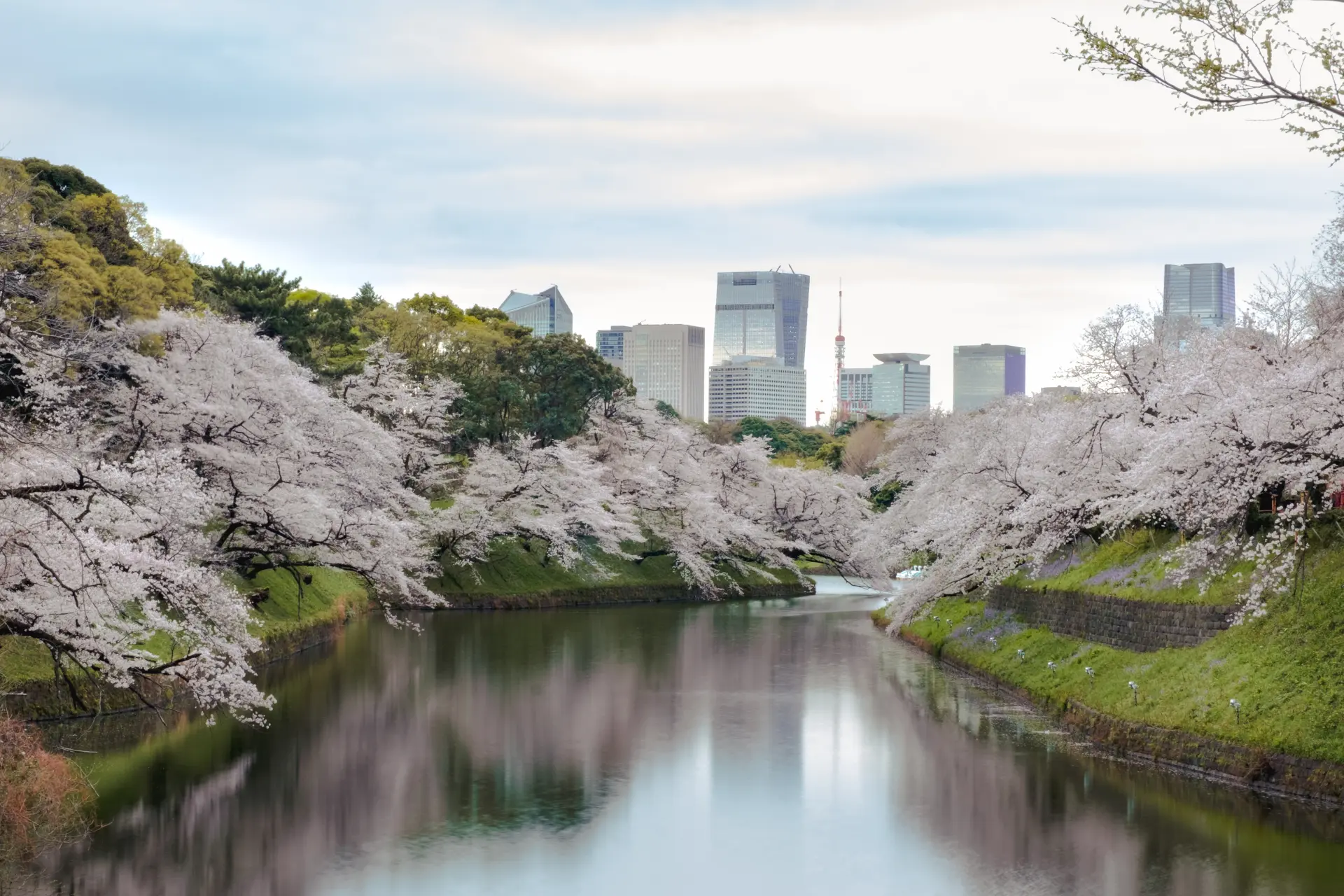 Flod og flotte træer på Aman Tokyo i Japan