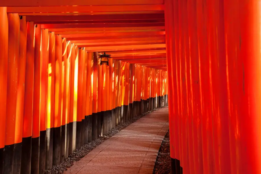 Red Torii korridor i Japan