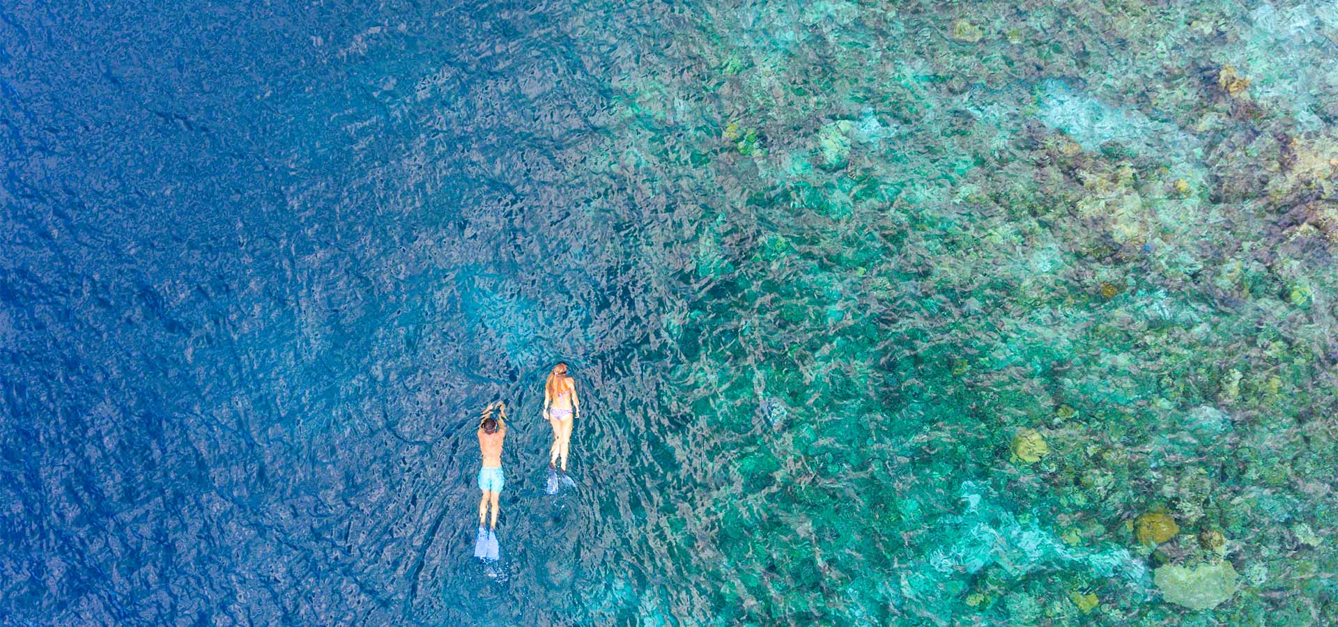 Snorkling ved Baros Maldives, Maldiverne