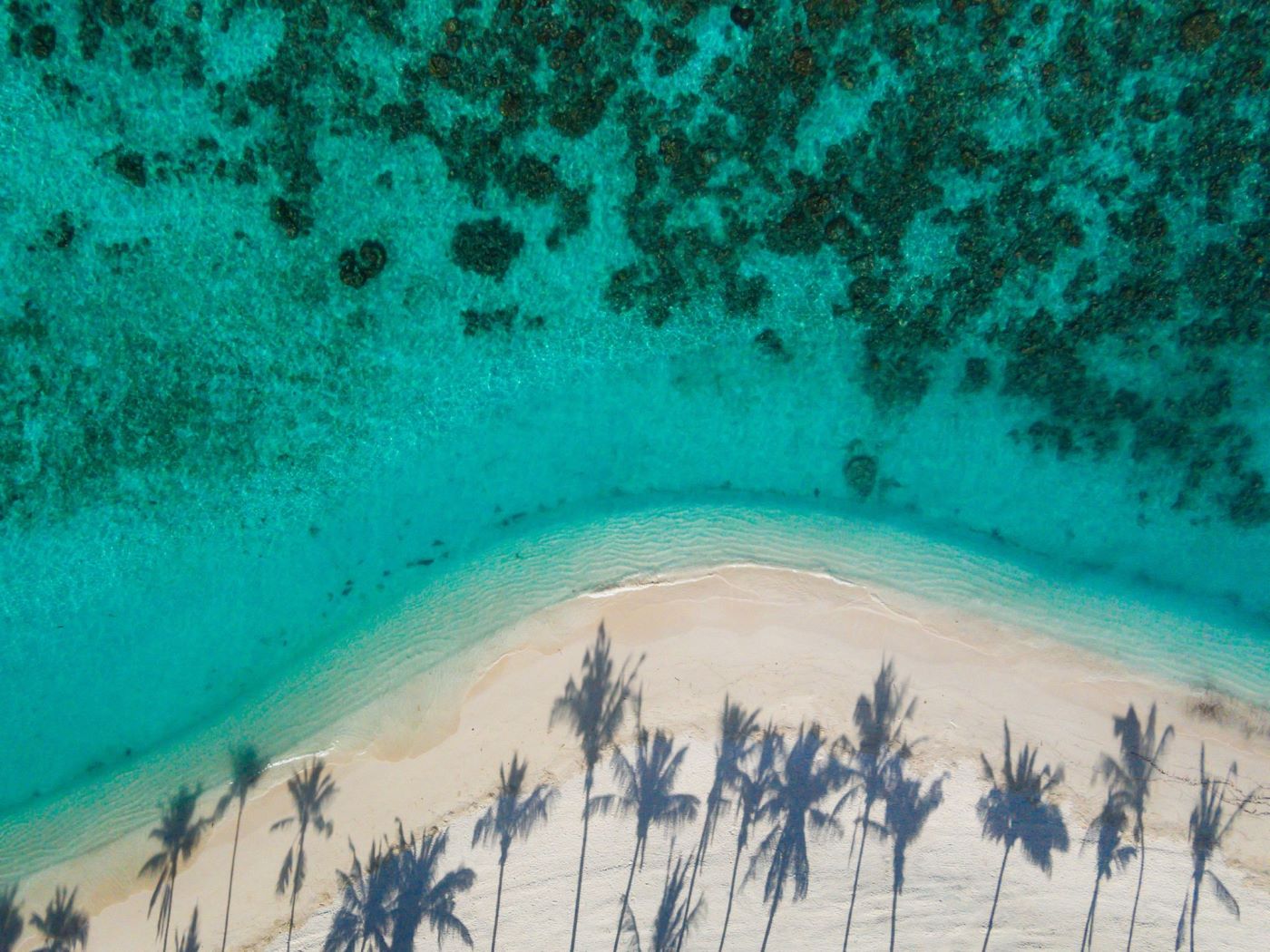Nyd de pulverfine sandstrande på Milaidhoo Maldives, Maldiverne