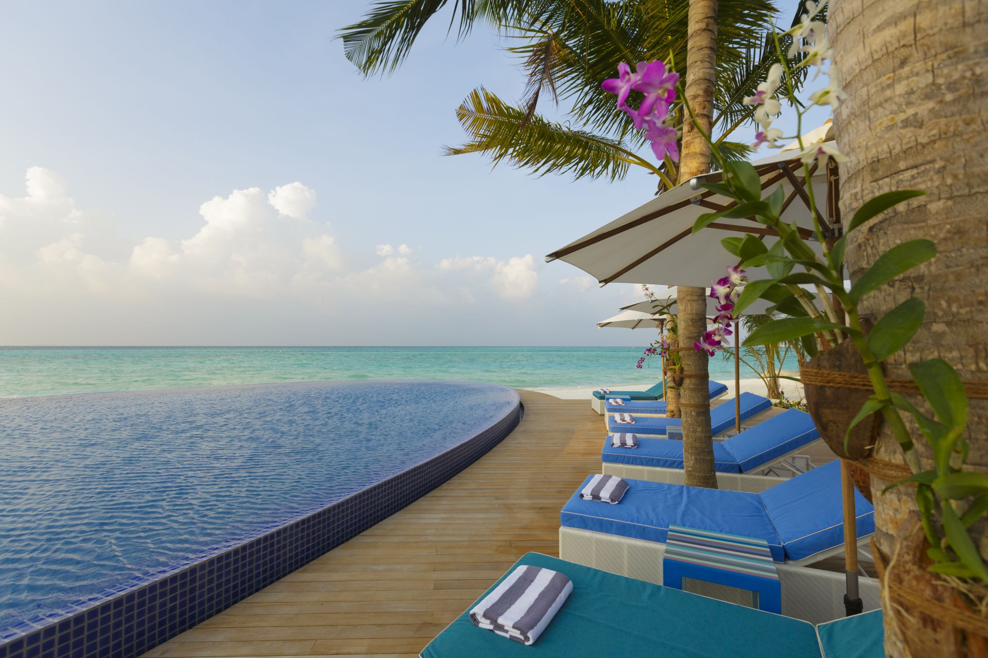 Poolen på Niyama Private Islands Maldives, Maldiverne