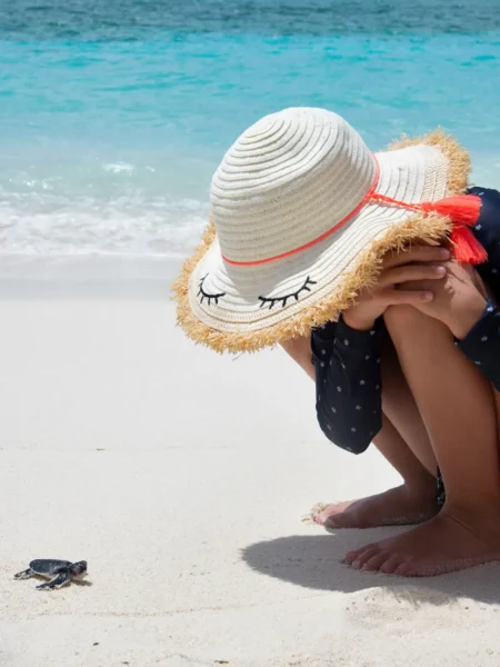 Når skildpadde unger udklækkes på stranden ved Six Senses Laamu, Maldiverne