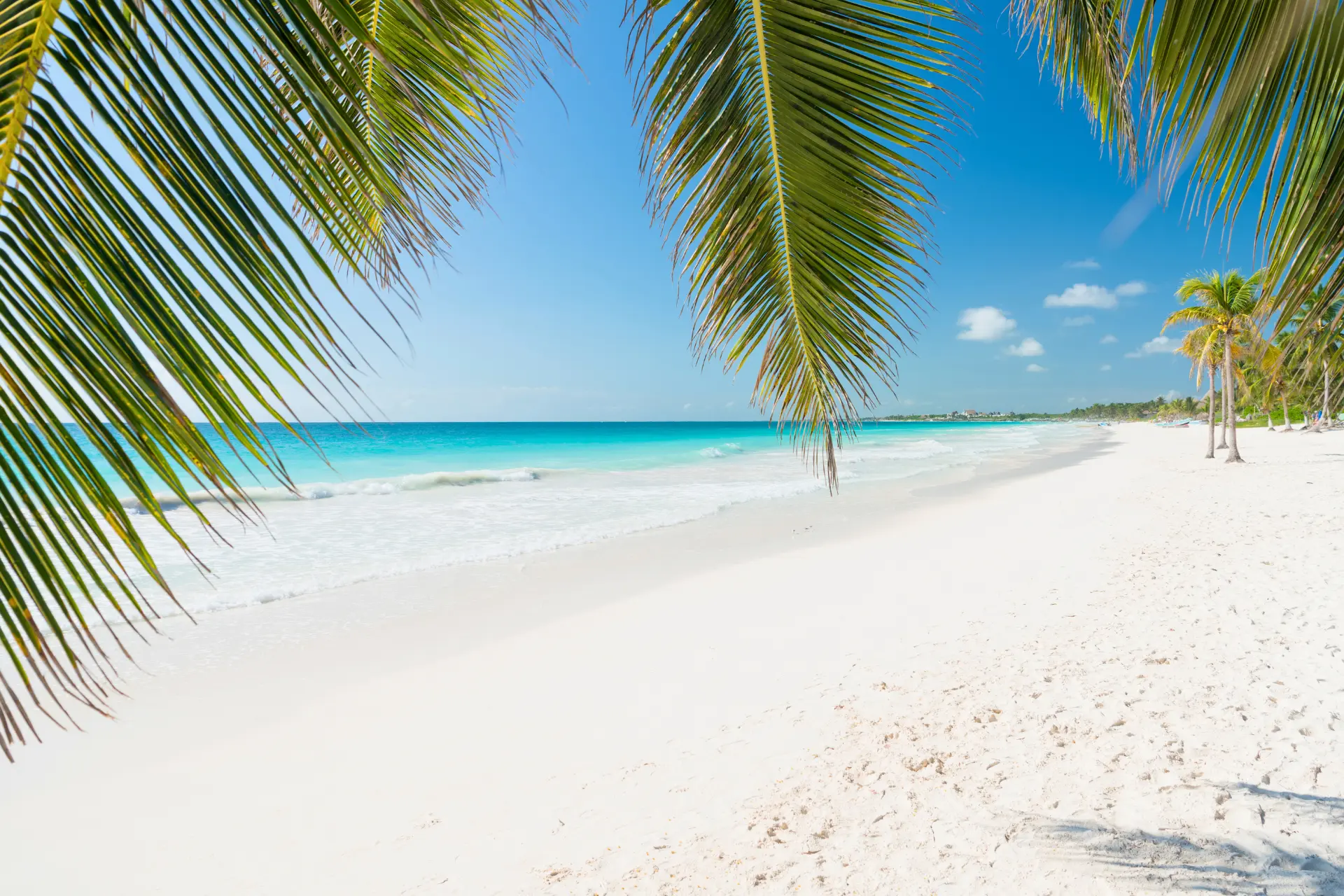 Smuk sandstrand i Tulum, Mexico
