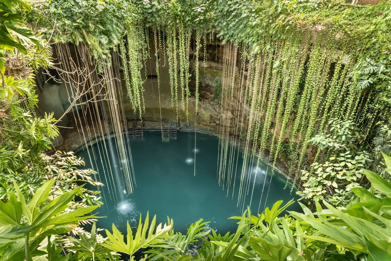 Cenote i Yucatan, Mexico