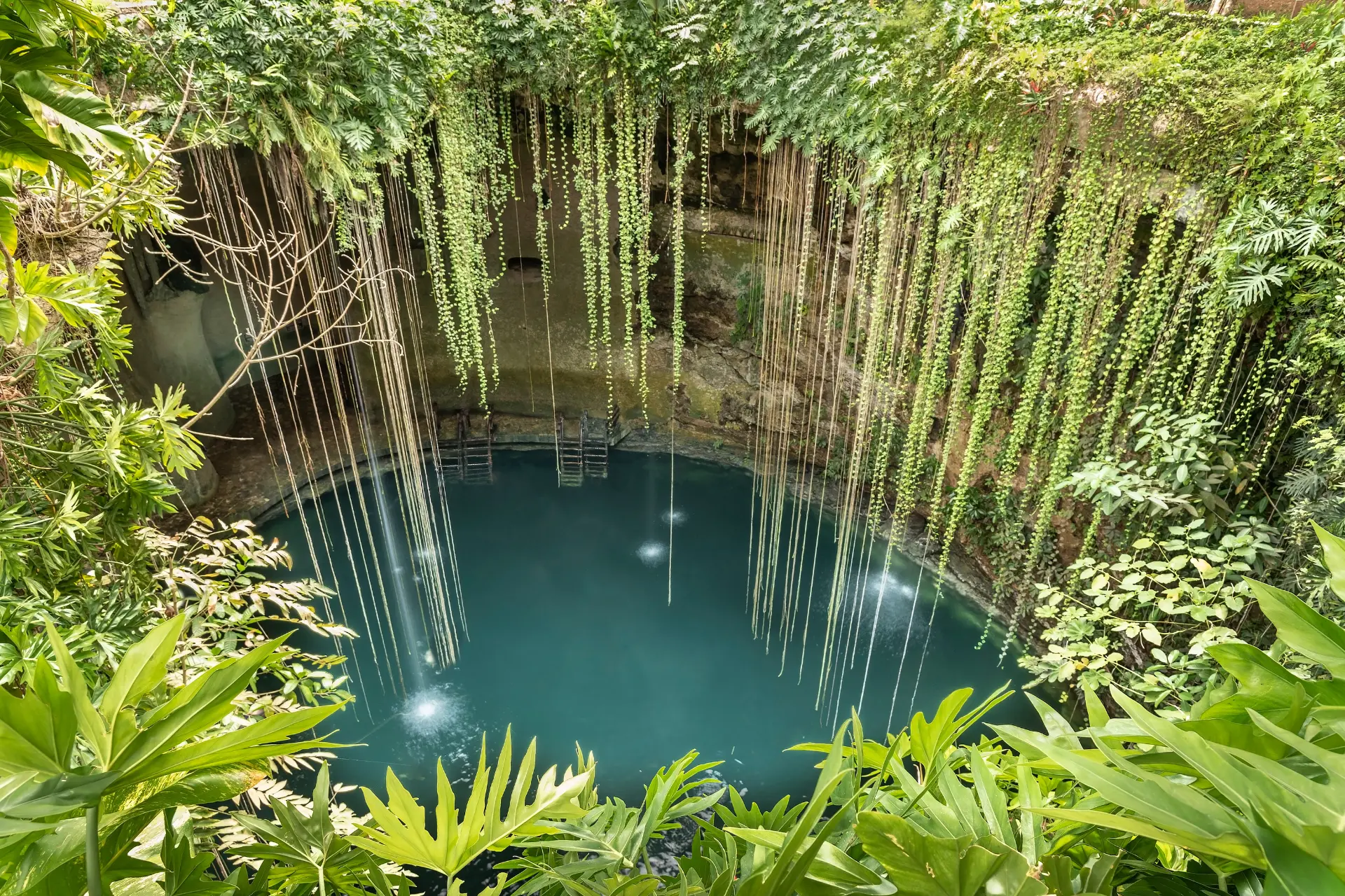 Cenote i Yucatan, Mexico