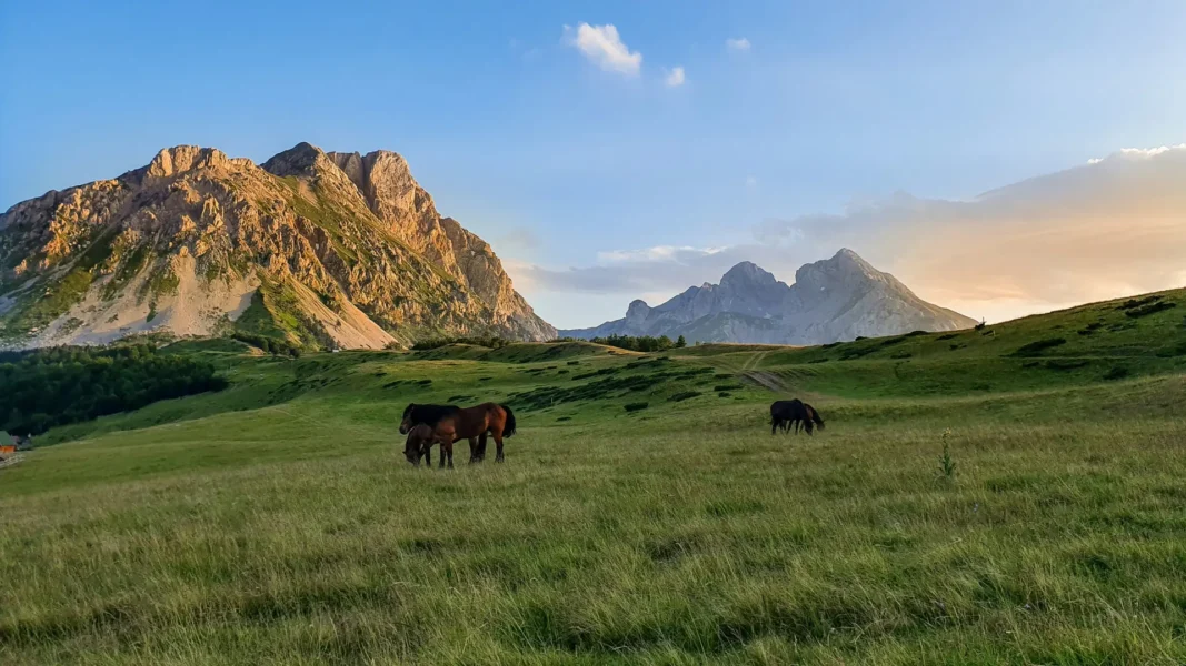 Komovi Mountains i Montenegro