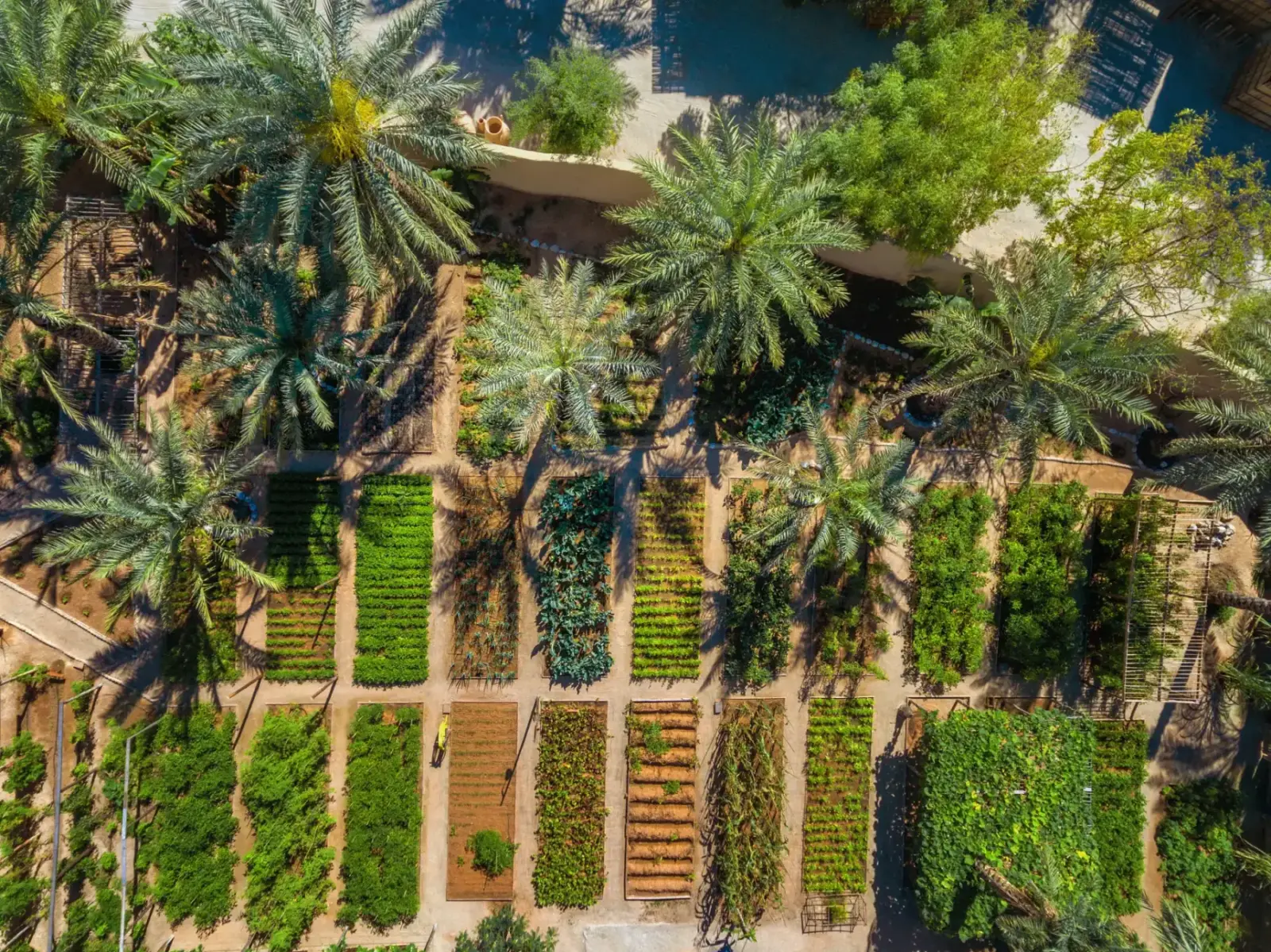 Den overdådige køkkenhave på Six Senses Zighy Bay, Oman