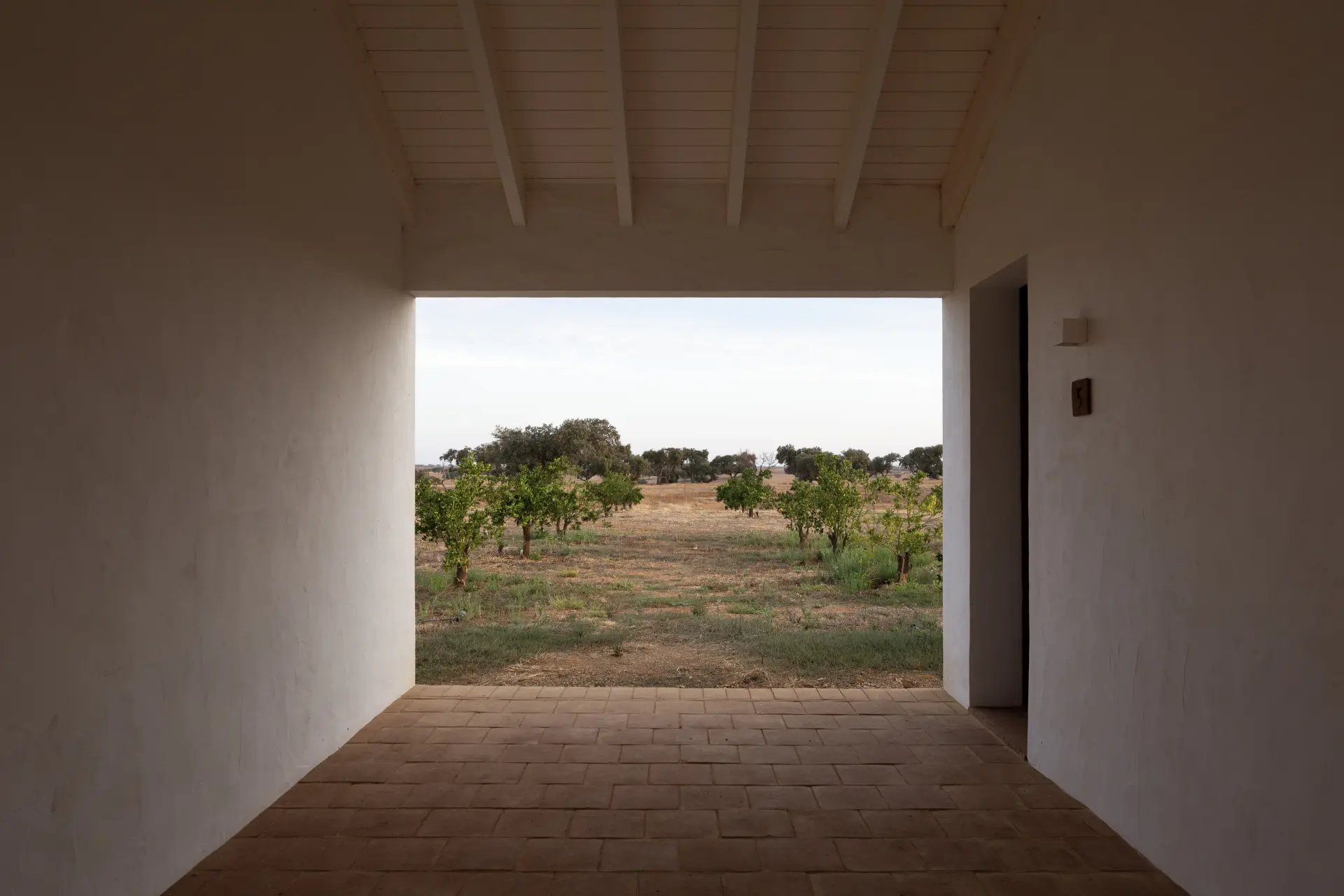 Udsigt fra Herdade da Malhadinha Nova, Portugal