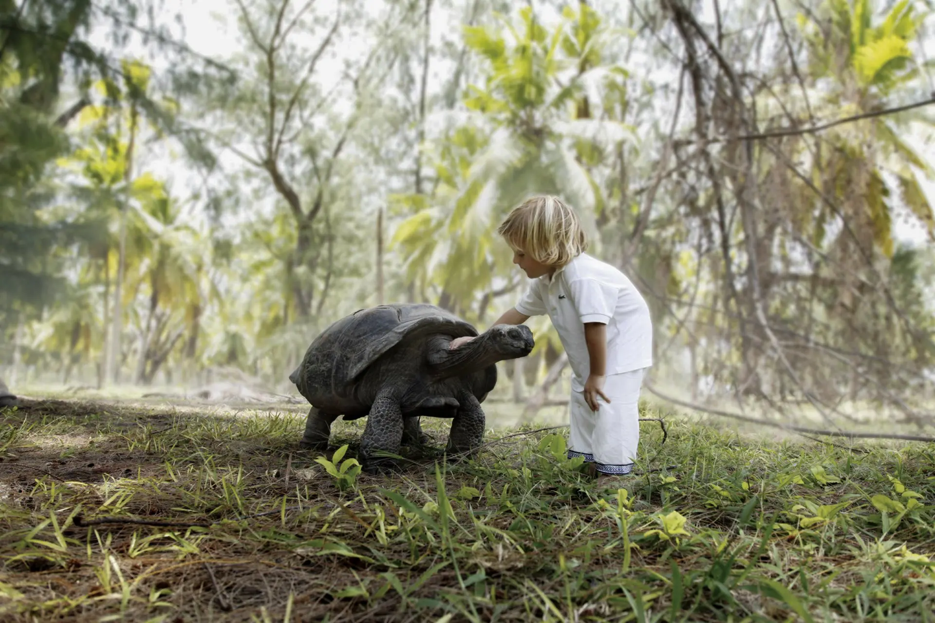 Dyreliv og uforglemmelige minder for hele familien på Four Seasons Resort at Desroches Island, Seychellerne