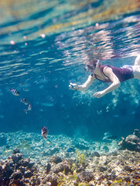 Snorkling på Seychellerne